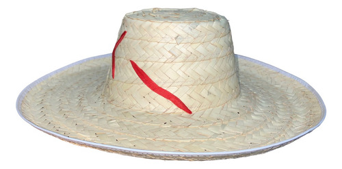 5 Sombrero Michoacano Palma Adulto Liston Mexicano