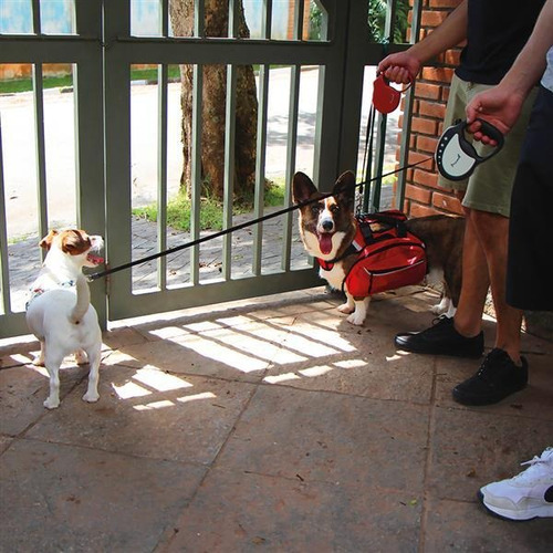 Imagem 5 de 5 de Guia Retratil Safe Walk Emborrachada Fita 4m Ate 11kgs (p)