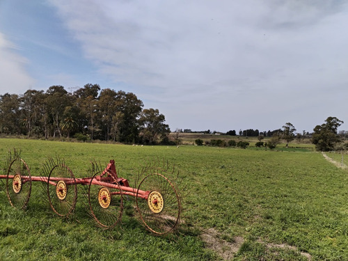 Venta Campo En Sauce, Con Cabaña Y Galpón