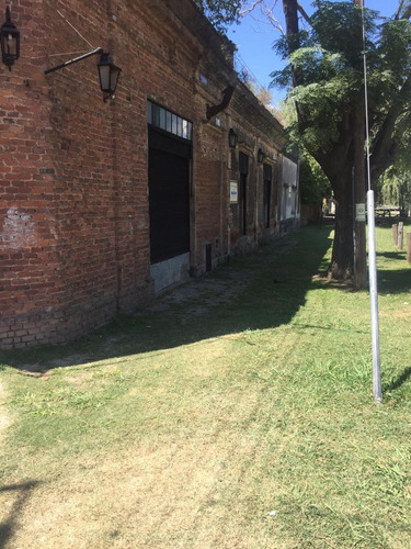 Imagen 6 de 8 de Excelente Predio En Venta, Carlos Keen, Oportunidad!!