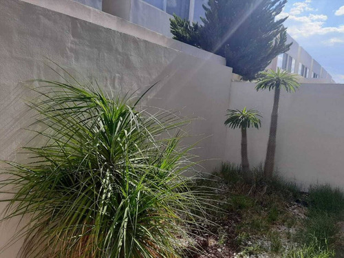 Imagen 11 de 20 de Casa En Renta, Rancho Santa Monica, Av. La Paz, Aguascalientes, Rcr 404863.