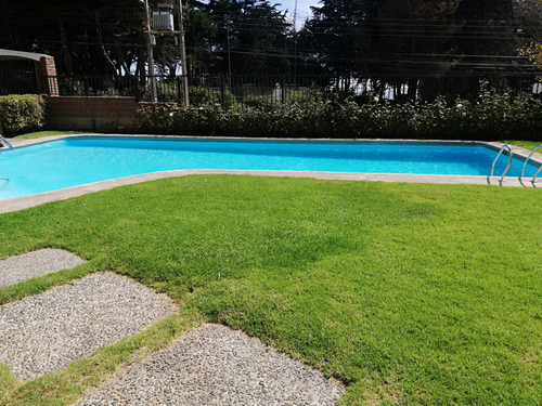 Arriendo Departamento Amoblado Jardín Del Mar