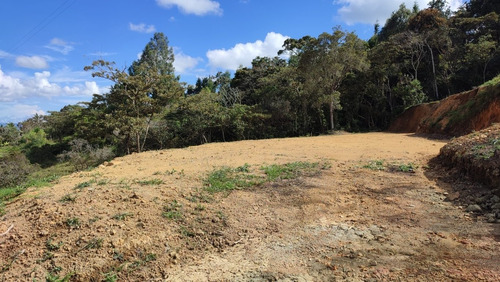 Lote En Venta Guarne Variante Aeropuerto 5.000 M2