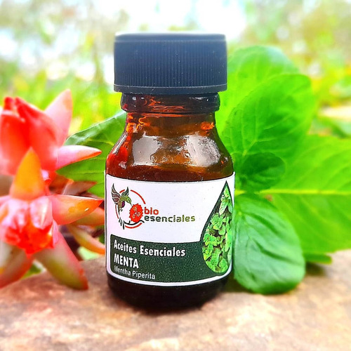 Aceite Esencial De Menta 10ml