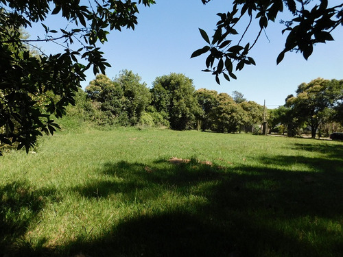 Venta Lote Arbolado 3000 Mts2 Arbolado Cerce De Laguna De Ch