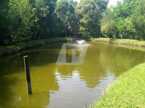 Imagem 3 de 9 de Chácara Ondinhas - Ch00111 - 69337728