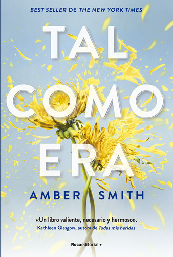 Libro Tal Como Era 1 - Amber Smith - Roca