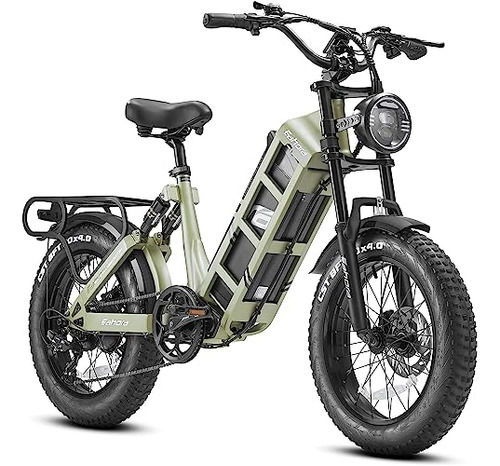 Bicicleta Eléctrica Para Adultos Juliet 1000w 60ah Con Neumá