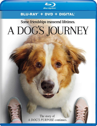 Blu-ray + Dvd A Dog´s Journey / La Razon De Estar Contigo 2