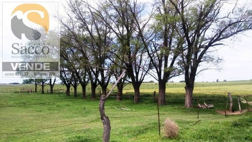 Imagen 7 de 14 de Campo Agrícola Ganadero En Venta En #pellegrini