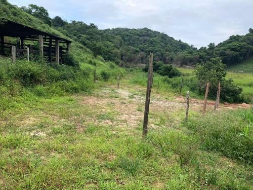 Amplo Sítio Na Cidade De Juquiá - 6238 | A.c.m