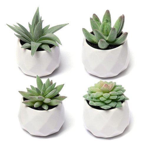 Cadnly Fake Succulent Plant Set - Plantas Suculentas Artific