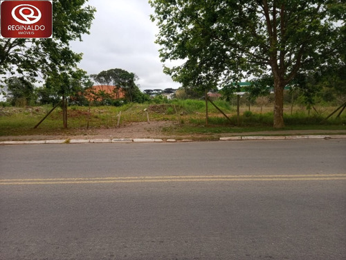 Imagem 2 de 8 de Área Para Venda - 00036.006