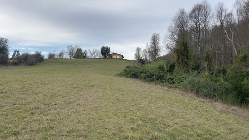Vendo Campo 6 Ha Con Casa Camino Huichahue (66896)