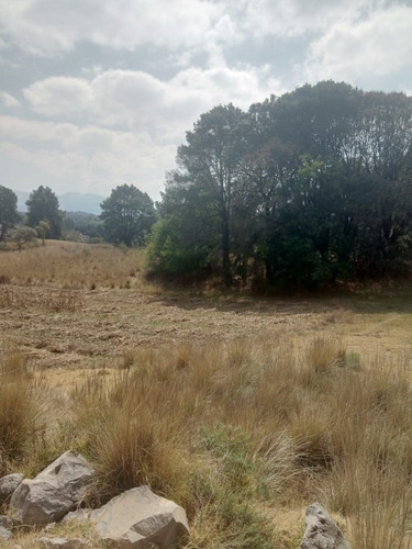 Imagen 12 de 15 de Venta De Terreno En Salazar La Marquesa Estado De Mexico