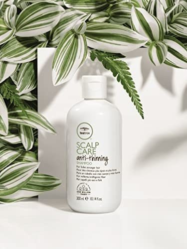 Shampoo Antiemagrecimento Para Cuidados Com A Pele Tea Tree