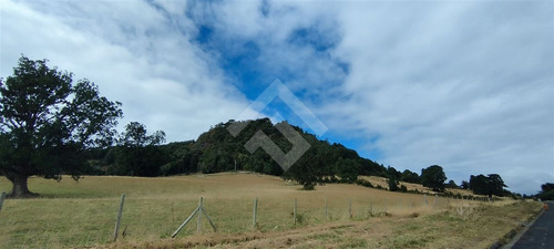 Sitio - 5.000 M2 Cada Uno - Cascadas - Puerto Octay
