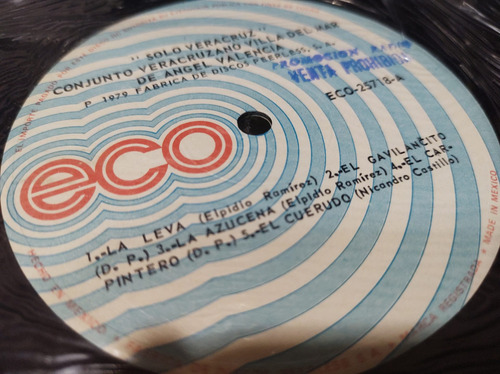 Conjunto Villa Del Mar Veracruz Vinilo,lp,acetato,vinyl (Usado)