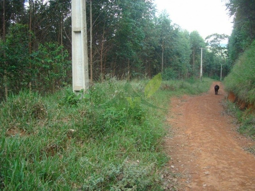 Imagem 5 de 8 de Sítio Em Piracaia 15 Alqueires R$600 Mil - 832