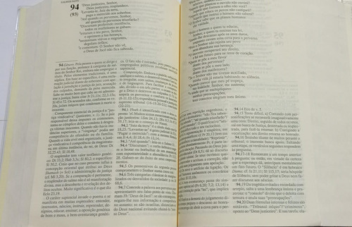 Bíblia Do Peregrino Com Estudos Católica Capa Cristal Brochura - Editora Paulus