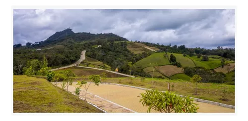Lote En Venta En Rionegro. Cod V11136