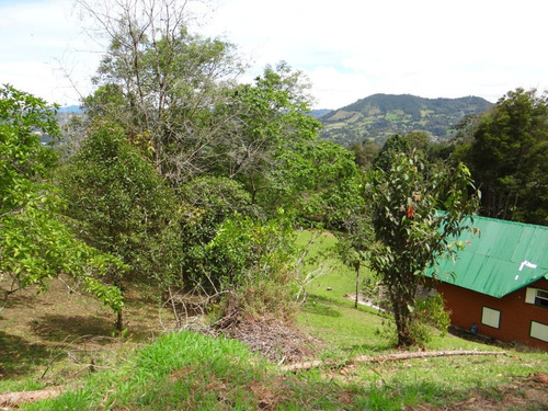 Imagen 12 de 30 de Casa Finca Campestre En Venta Vía Rionegro La Ceja Yrm 2