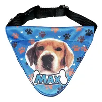 Comprar Collares Bandanas Para Mascotas Perros Grandes Talla L