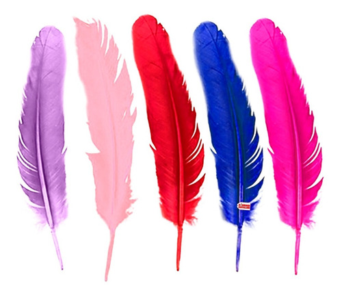 Plumas Surtidas 25cm X10u Souvenir Manualidades - Cc