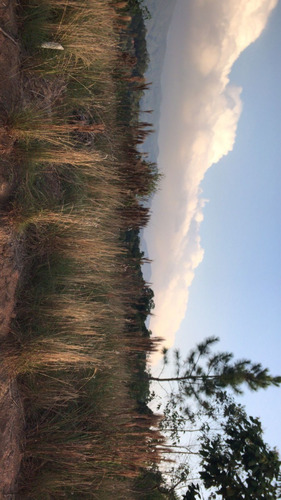 Imagem 21 de 30 de Vende-se Terrenos A 300m Da Represa!!!(rg)