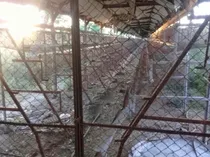 Comprar Apoyo Metálico Conti Para Jaulas Gallinas Ponedoras Envios