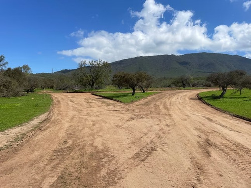 Sitio 16 En Proyecto Parque Quebrada Catapilco
