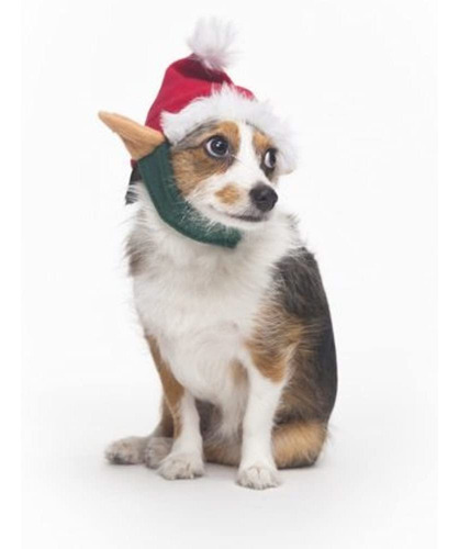 Mascota Elfo Sombrero De Moda Para Perros Pequeñamediana Co