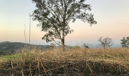 Imagem 11 de 14 de Sítio 10.000 M² Em Pedra De Guaratiba