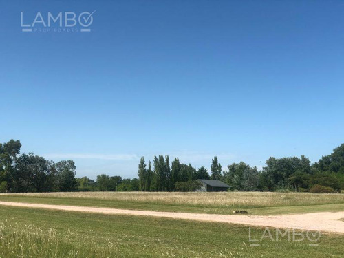 Imagen 15 de 20 de Venta Lote Manzanares La Ranita