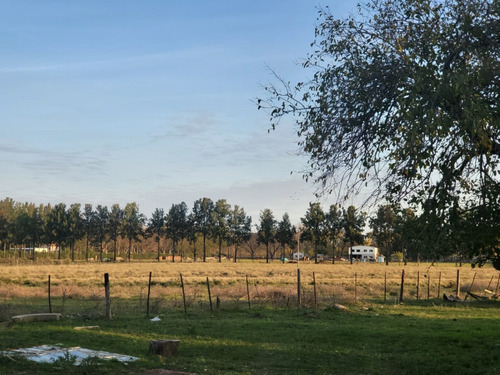 Chacras En Los Pinos