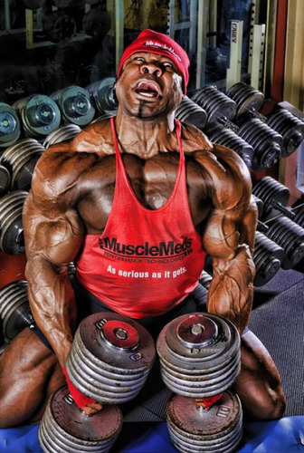 Suplemento En Polvo Musclemeds Proteína X 1700kg