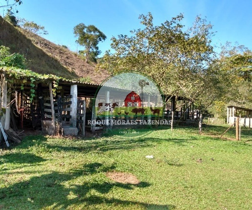 Imagem 22 de 29 de Fazenda Medindo 103 Alqueires Paulista No Vale Do Ribeira Sp Ref.: 0372