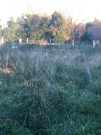 Imagen 5 de 24 de Lote 1560mts Escriturado Excelente Lugar Semi Cerrado Francisco Alvarez