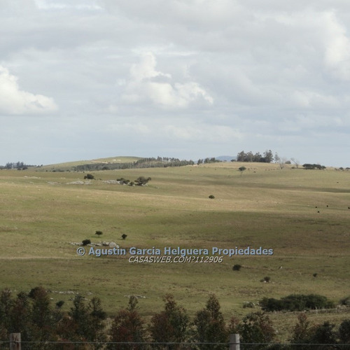 Campo A 19 Kms. De Minas Y A 55 Km De P Del E.