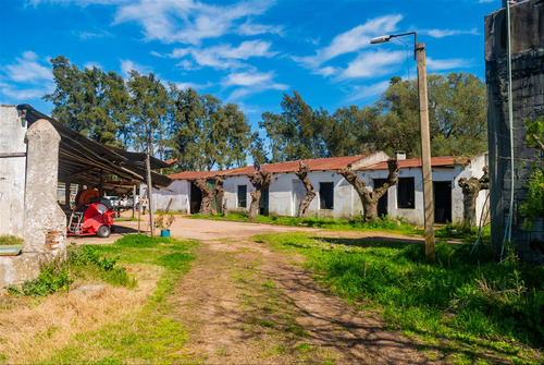 Venta Chacra 28 Ha Abayuba Arroyo Y 2 Tajamares C.rigel