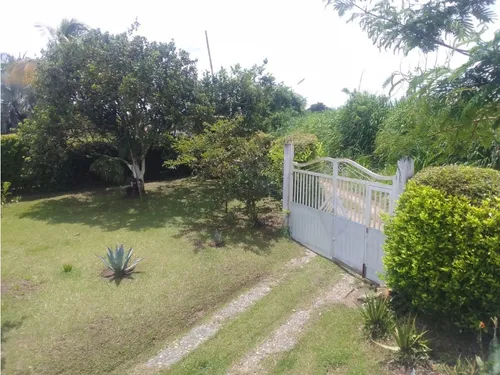 Venta Finca Productiva Montenegro Pueblo Tapao - 11 Cuadras
