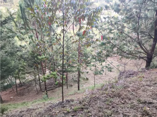 Lote En Guarne Vereda La Clarita Cerca De La Vía Principal