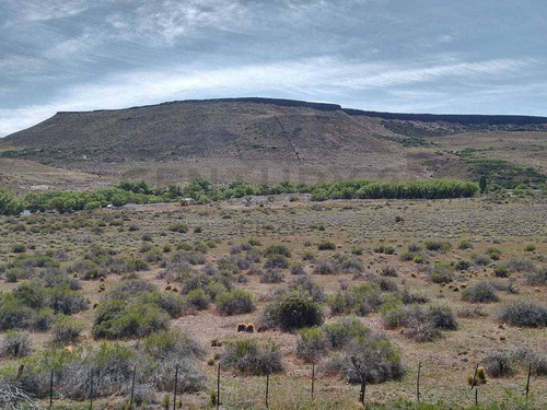 Imagen 3 de 8 de Venta Campo 3178 Ha, 8 Km Costa Rio Catan A 130 Km San Martin De Los Andes