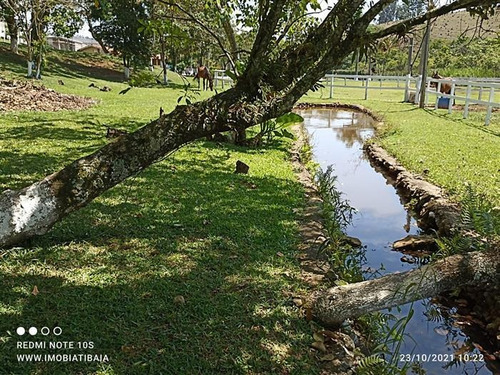 Imagem 19 de 29 de Sítios À Venda Em Nazare Paulista/sp - Compre O Seu Sítios Aqui! - 1491955