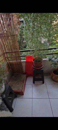 El Oasis En Av Ossa 1156 (85582)