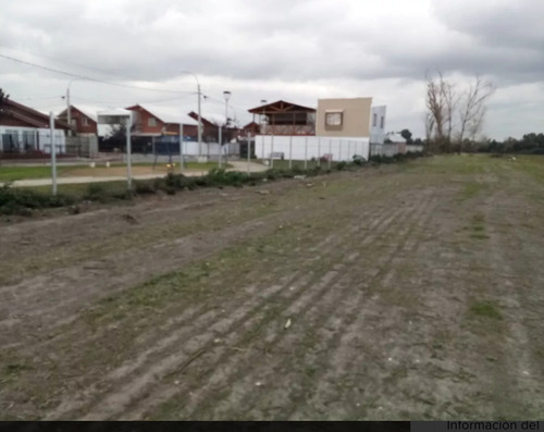 Imagen 11 de 13 de Agrícola En Venta En Chillán