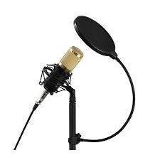 Imagen 2 de 3 de Filtro Anti Pop Para Microfono Soporte Cuello Flexible