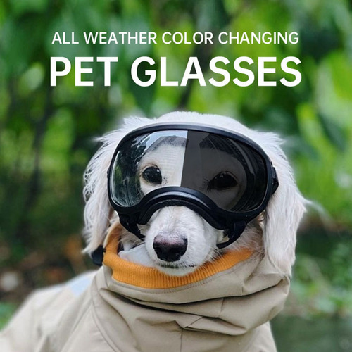 Gafas Para Mascotas Que Cambian De Color, Gafas Para Perros,