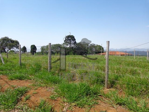 Imagem 3 de 3 de Cód 1099 - Terreno Com 2.000 M². Ótima Topografia - 1099