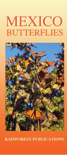 5 Guías De Mariposas De México - Folleto Plegable